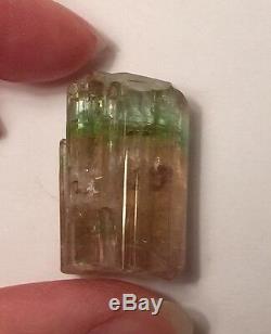11.3 Gram Bi Color Pink Green Tourmaline Crystal Brazil