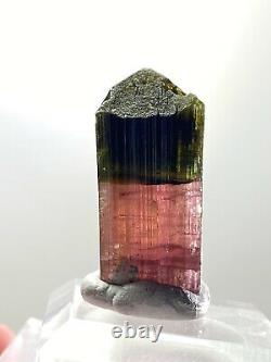 13g Terminated BADAKHSHAN tourmaline Bicolor Pink Green Crystal
