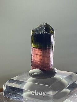 13g Terminated BADAKHSHAN tourmaline Bicolor Pink Green Crystal