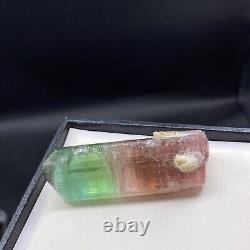 186ct- Rare BiColour Natural Pink & Green Tourmaline Crystal Natural Terminated