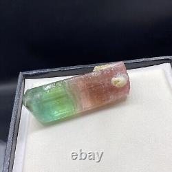 186ct- Rare BiColour Natural Pink & Green Tourmaline Crystal Natural Terminated