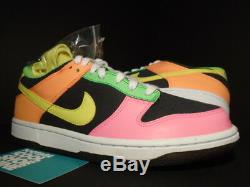2010 Nike Dunk Low HIGHLIGHTER GREY YELLOW PINK GREEN ORANGE 310569-071 DS 7Y 7
