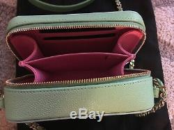 Authentic Chanel bag, wallet, purse BNWT custom boutique pastel pink, green $3000