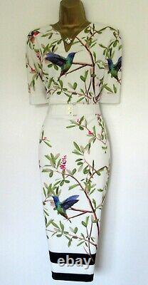 BNWOT Ted Baker Dress size TB 3 (UK 12) Evrely Pink Green Cream Lined