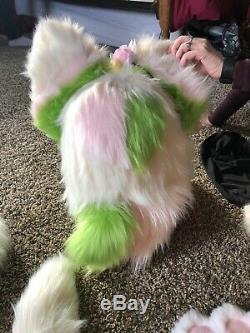 Green And Pink fursuit head Canine