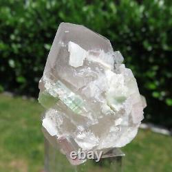 Minerals Crystals By Tourmaline Pink And Green On Quartz Brazil