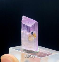 Natural Terminated Pink Kunzite Crystal With Green Tourmaline 37.90 cts