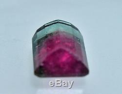 Pink and Green Bi Color Tourmaline 17.9mm 15.5ct Faceted Gemstone Brazil
