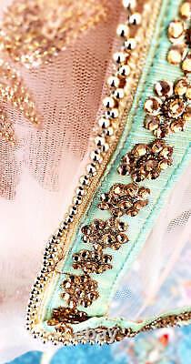 Pink champagne and Sea-foam green Sheer net saree