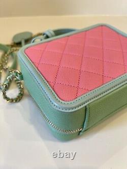 RARE! CHANEL Caviar Vanity Filigree Small Pink Blue Green Case Bag