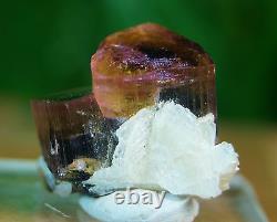 Terminated Twin Pink & Green cap tourmaline Minerals specimen Cleavlandite 50 Ct