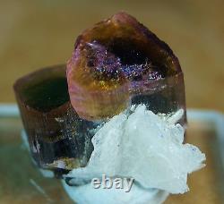 Terminated Twin Pink & Green cap tourmaline Minerals specimen Cleavlandite 50 Ct
