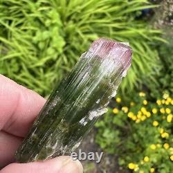 Tourmaline Pink Green Bi Coloured Crystal Paprok Afghanistan