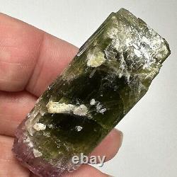 Tourmaline Pink Green Bi Coloured Crystal Paprok Afghanistan