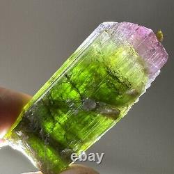 Tourmaline Pink Green Bi Coloured Crystal Paprok Afghanistan