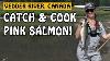 Vedder River Pink Salmon Catch And Cook Fishing With Rod