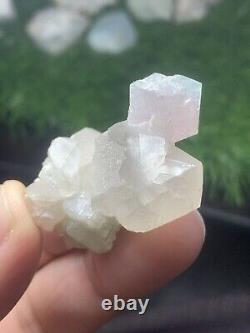 WOW! Amazing Natural Undamaged Green & Pink Tourmaline Crystal Specimen Quartz