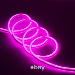 Bande lumineuse LED néon 110V pour enseigne commerciale, décoration de jardin, étanche