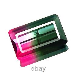 Bi-color Tourmaline 2.64ct Naturel Best 5a+pink/green Octagon Reel Dazzling Gem