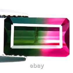 Bi-color Tourmaline 2.64ct Naturel Best 5a+pink/green Octagon Reel Dazzling Gem