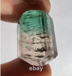 Cristal de tourmaline naturelle bicolore vert mousse de mer et rose pour la taille