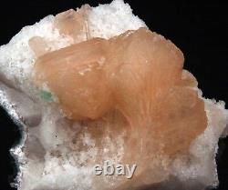 Cristal rose de stilbite avec mini apophyllite verte sur chalcedoine miniature # B 342