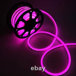 Lumières de corde néon flexibles à LED 110V pour fête, bar, jardin, décoration de panneau DIY en extérieur aux États-Unis