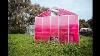 Rose Est Le Nouveau Vert Pour Intelligent Greenhouses