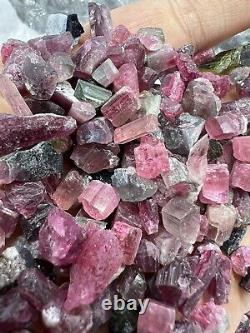 Top qualité multicolore Tourmaline verte, rose et verte, éclats de cristaux de 134 grammes